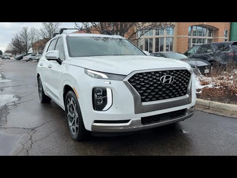 2022 Hyundai Palisade Naperville, Aurora, Burr Ridge, Lombard, Tinely ...