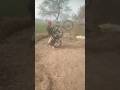boxer# bike stunt# video #short🚀🚀