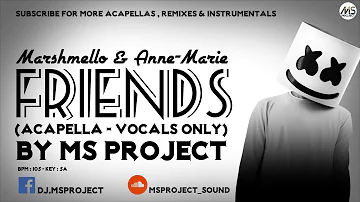 Marshmello & Anne-Marie - Friends (Acapella - Vocals Only)