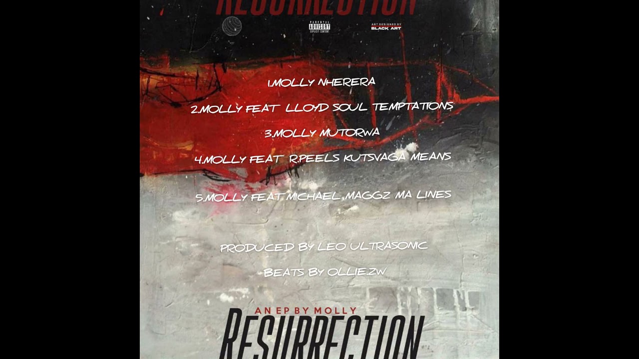 Molly ft R.Peels - Kutsvaga Means (Official Audio) #Zimhiphop