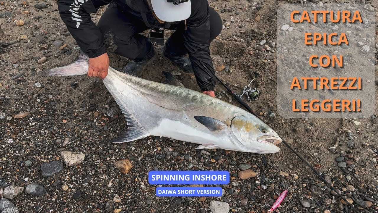 LECCIA AMIA GIGANTE contro la mia Combo Light DAIWA! SFIDA ESTREMA in MARE – SPINNING INSHORE