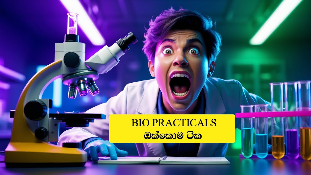 2025 AL Biology   Practical