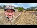 Clearing Land To Fence the Top of Our Property