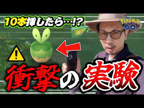 【ポケモンGO】ハーブルアーを同時に10本ぶっ挿して色違いカジッチュを狙ってみたら・・・！？【収穫祭：カジッチュ集め】