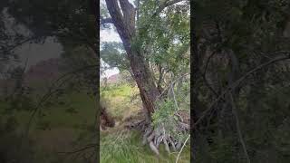 IMG 5286 in Vegas beautiful nature ❤️