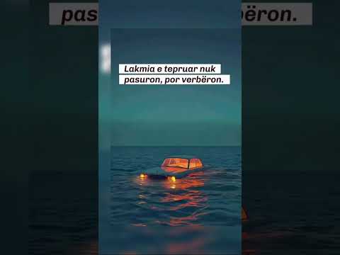 Lakmia e Tepruar nuk Pasuron!! by #PeacefulPaths