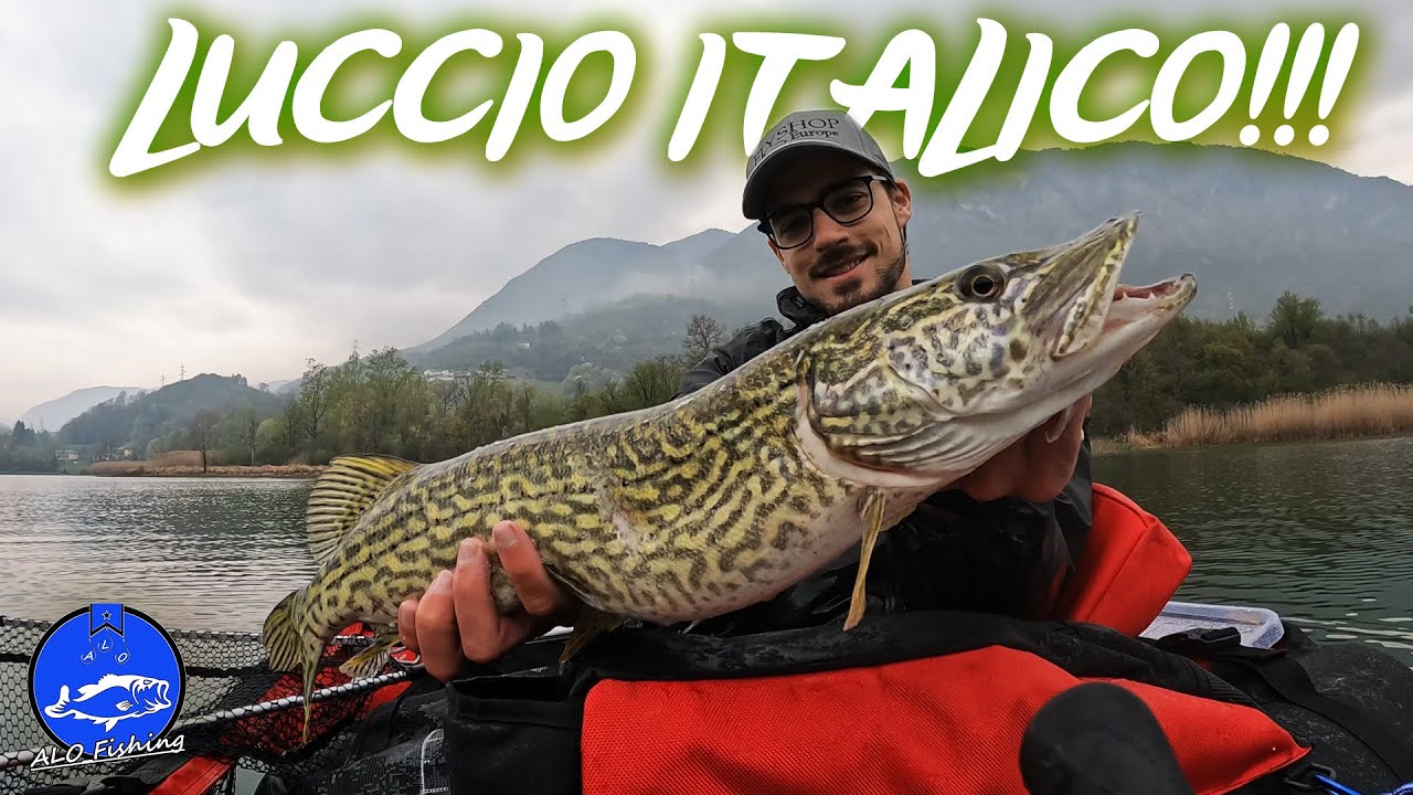 Alla ricerca del LUCCIO ITALICO! - Pesca al luccio dal belly boat