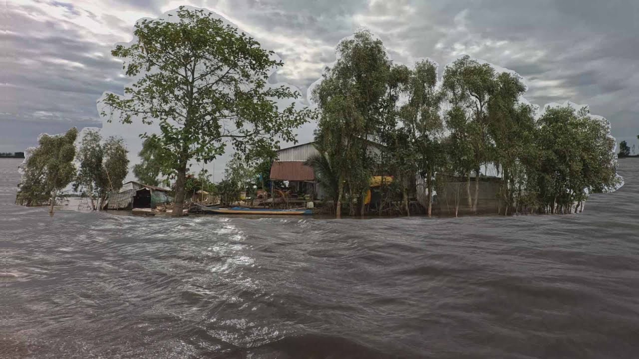 Ngôi nhà biệt lập giữa cánh đồng ngập nước