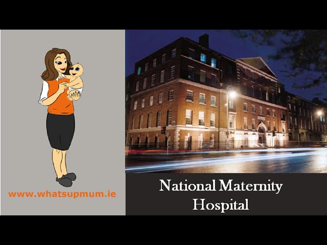 Holles Street Baby Clinic / Semi Private 2021