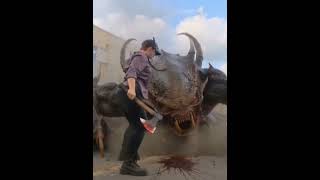 Bug Off Parasites ☆Hellhexxus