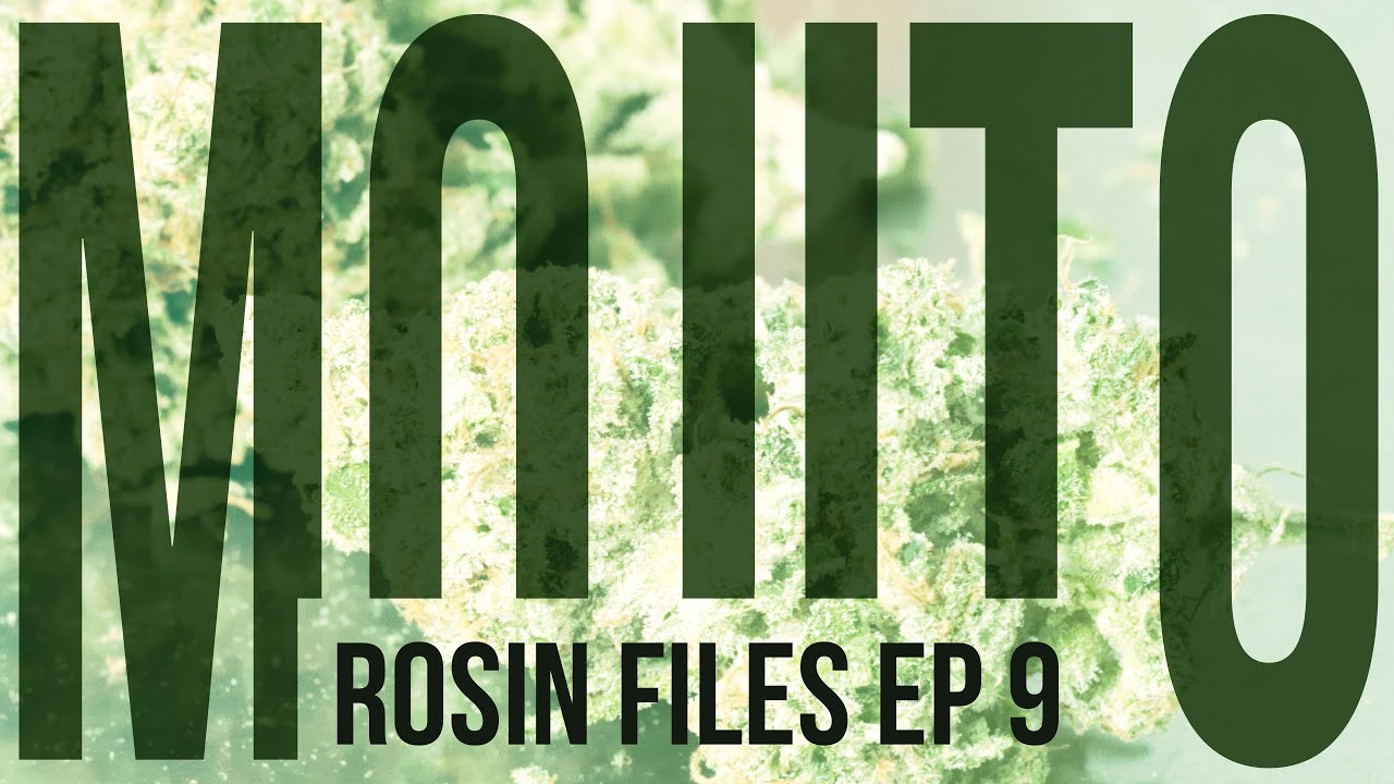 Rosin Files Ep 9 "Mojito"