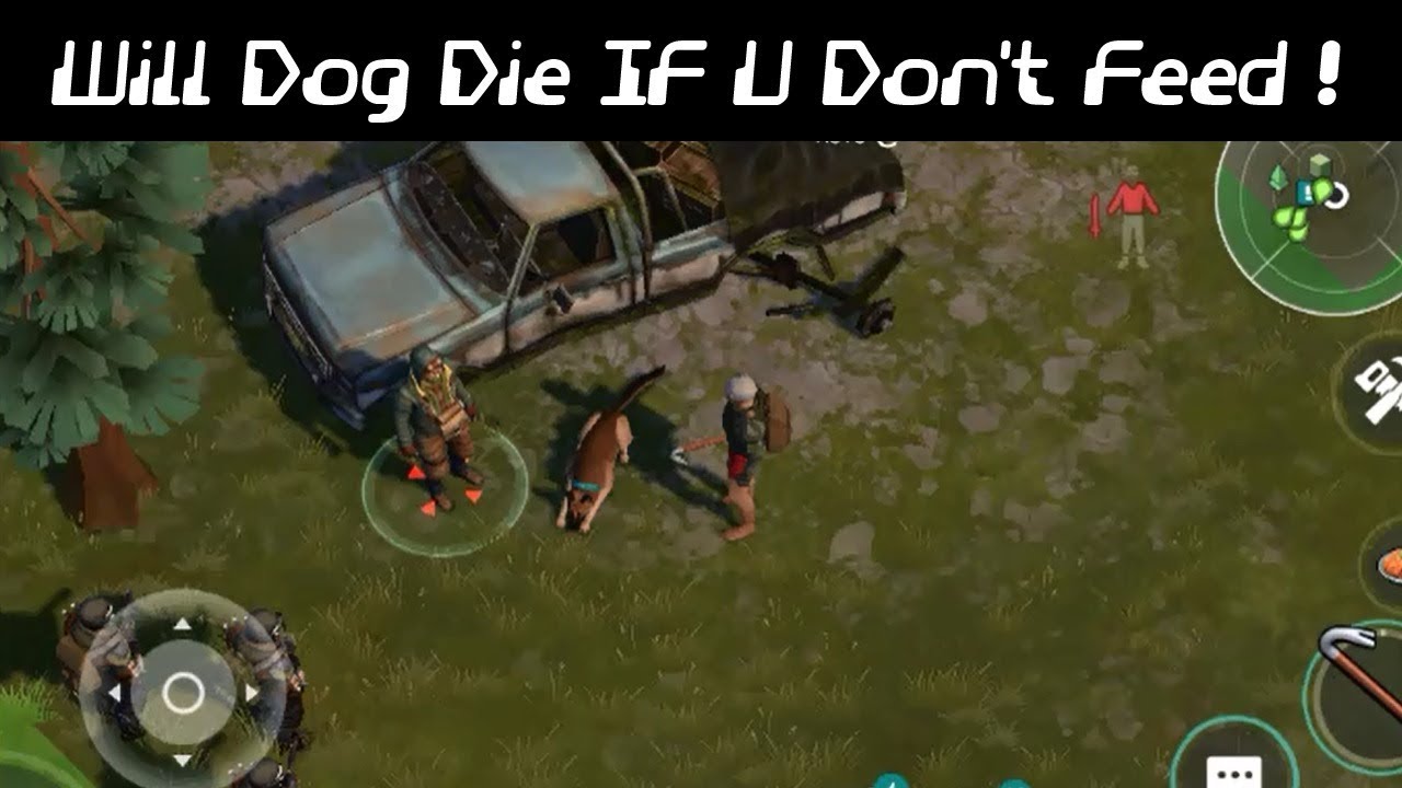 Can Dogs Die On Last Day Of Earth