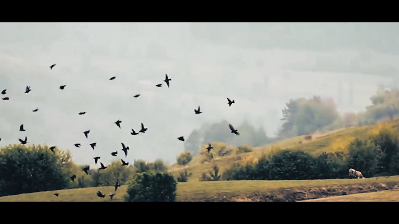 Visit Harghita – A Treasure in Nature