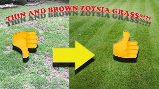 How to Improve Your Zoysia Grass | How to Fix a Crappy, Thin, and Brown Zoysia Lawn!!
