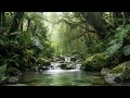 Fall Asleep Instantly 😴 Peaceful Forest River & Bird Sounds (8 Hours Ambience)