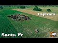 152 Hombre de Campo  - Capivara (Santa Fe) Estancias y Tradiciones