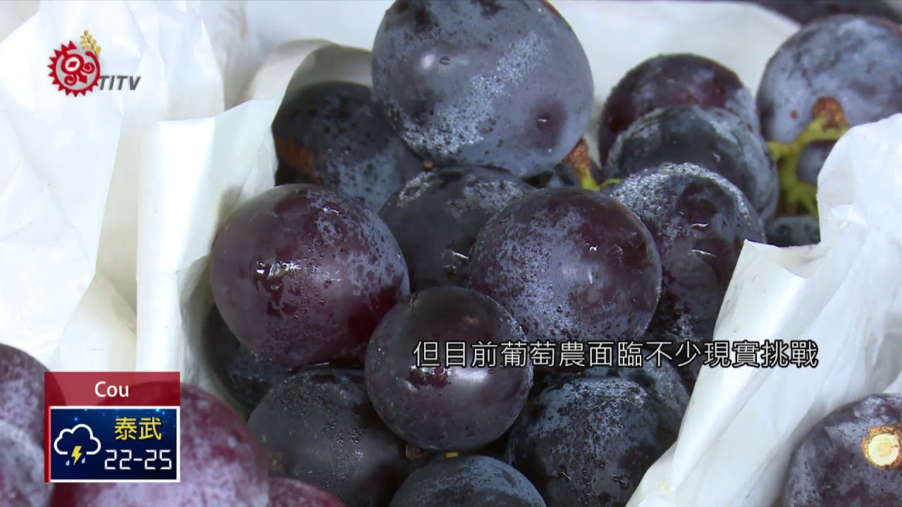 豐丘葡萄價格 大家都在找解答 旅遊日本住宿評價