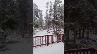 Full 'Pretty Snow' Showers Colorado Mountain Town Guide