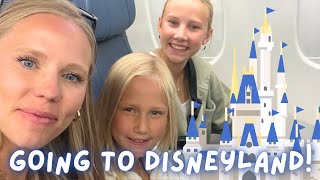 Family of 7 goes to California to visit DISNEYLAND