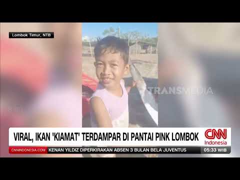 Viral, 3 Men Dump Used Battery Acid into Grogol River | MORNING NEWS (08/27/26)