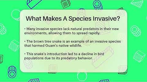 What Makes A Species Invasive? - Ecosystem Essentials