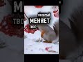 #биополе #таро #силасознания #tarot #изобилие #любовь #гороскоп2026 #гороскоп #гадание #метафизик