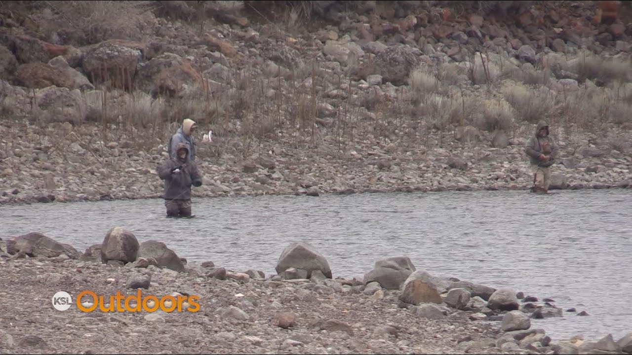 Fish Tech Tip: Lures to Use During Ice Off