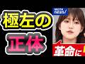 【暴力は必要！】極端な左翼とは何ですか？どうしてこうなった？【辺野古】【玉城デニー】【オール沖縄】