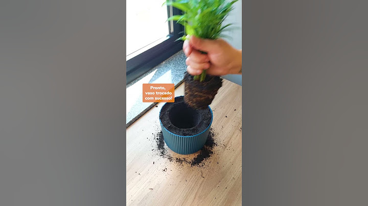 Se liga nesse tutorial de como trocar a planta de vaso