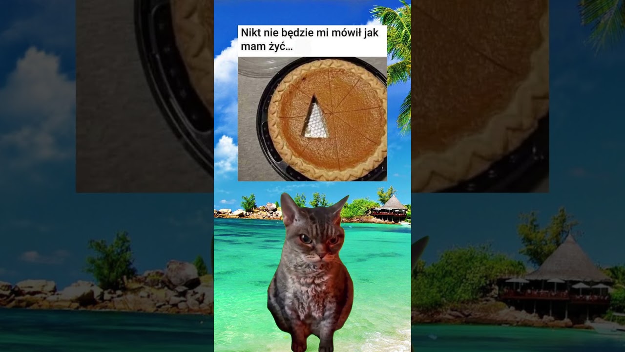 Kto normalny tak kroi ciasto? #shorts #memes #memy #funny