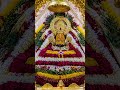Jai shree shyam 🥺🙇#shortsfeed #khatushyam #views #like #jaishreeshyam