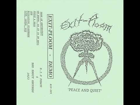 Peace And Quiet artwork