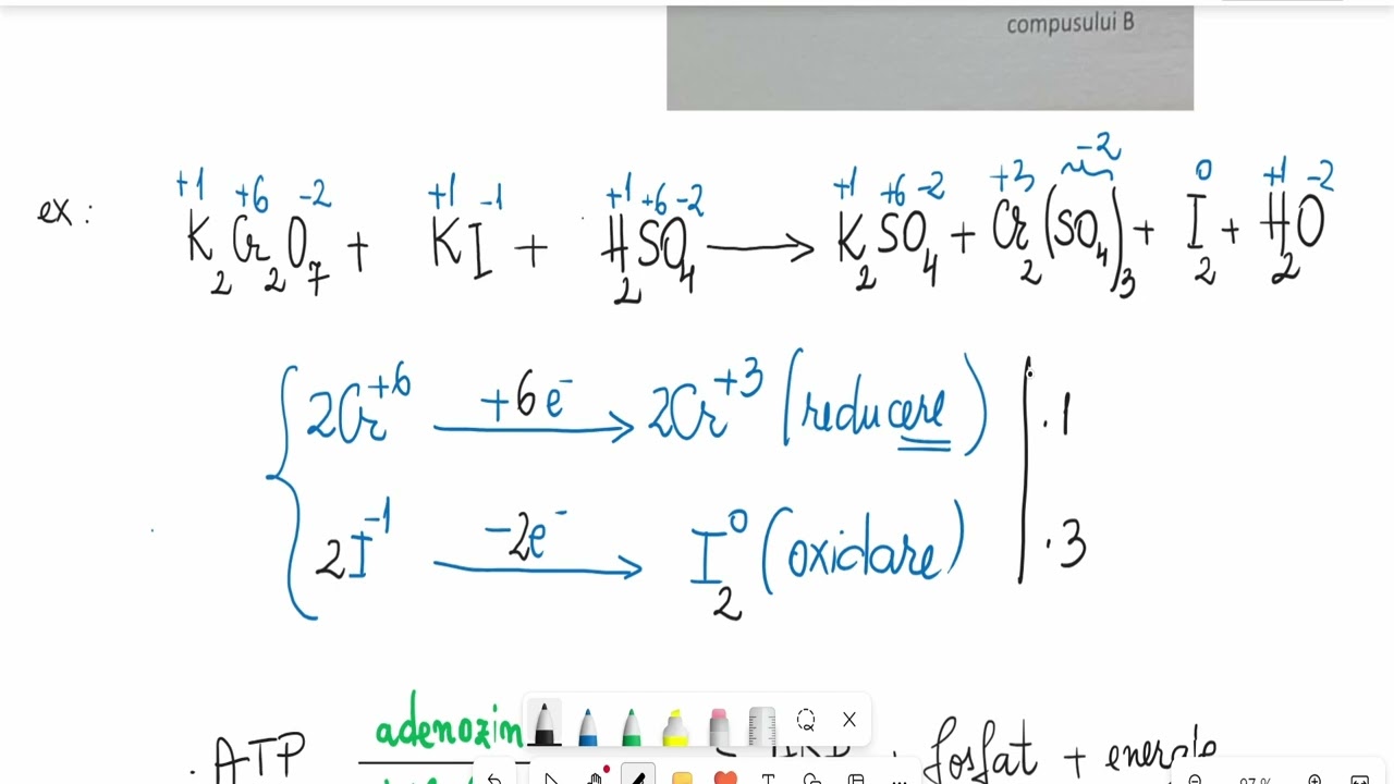 Barrons 19.1 Componentele metabolismului celular