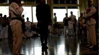 Taekwondo Tournoi interclub 24 juin 2012 Vevey  Lena - Taekwondo Malley (4)