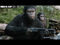 El planeta de los simios confrontacin  clip vayanse