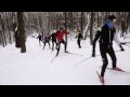 Беговые лыжи  Урок 5 Лыжная тренировка Отработка приемов конькового хода
