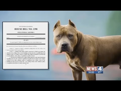 Wideo: BSL (Breed Specific Legislation): Czy Tide Turning?