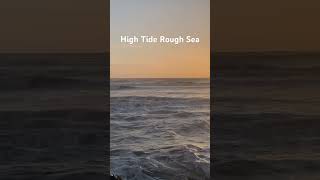 #sea #hightide #subscribemychannel #shortsvideo #shorts #newzealand #sunset #short