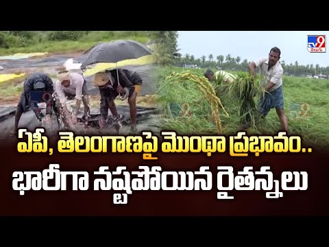 Cyclone Montha: ఏపీ, తెలంగాణపై మొంథా ప్రభావం.. భారీగా నష్టపోయిన రైతన్నలు - TV9 - TV9