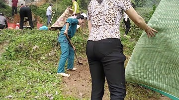 phong tục tảo mộ 3/3 âm lịch của người dân tộc Tày cao bằng