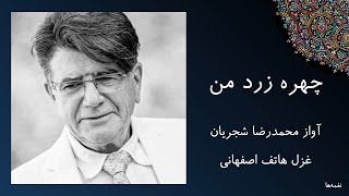 آواز محمدرضا شجریان - چه شود به چهره زرد من نظری برای خدا کنی - غزل هاتف اصفهانی