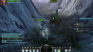 Dragon Nest Luring Slice Sturdy Test
