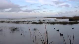 Duck hunting in Buras