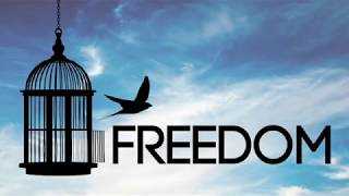 Freedom - Week 2