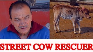 A MAN WHO RESCUE HOMELESS  COWS IN NEPAL ||  जसले छाडा गाईवस्तुलाई जीवन दिन्छन्