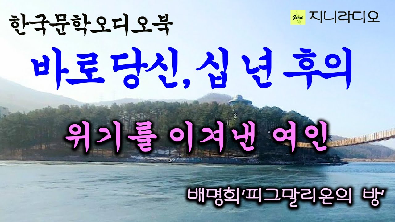 Outline Video 남편을 떠나고 싶은 여자, 모든 일상이 심드렁해지고 지리멸렬하다. 차라리 이혼을 하는 게 나을까~ / 배명희 '피그말리온의 밤'/ 책읽어주는여자/ 지니라디오/ 오디오북