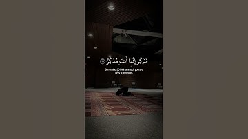 نهايات سوره الغاشية بصوت البراء محمد عايل  #القرآن_الكريم