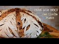 PANE ALLE NOCI con Lievito Madre