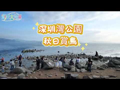 深圳灣公園秋日賞鳥|漫步深圳秋冬的詩意與煙火 六大公園尋幽指南|深圳灣公園:邂逅候鳥天堂【遊走大灣區】