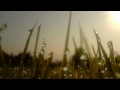 Die & Interface (feat. William Cartwright) - Bright Lights (Netsky Remix)